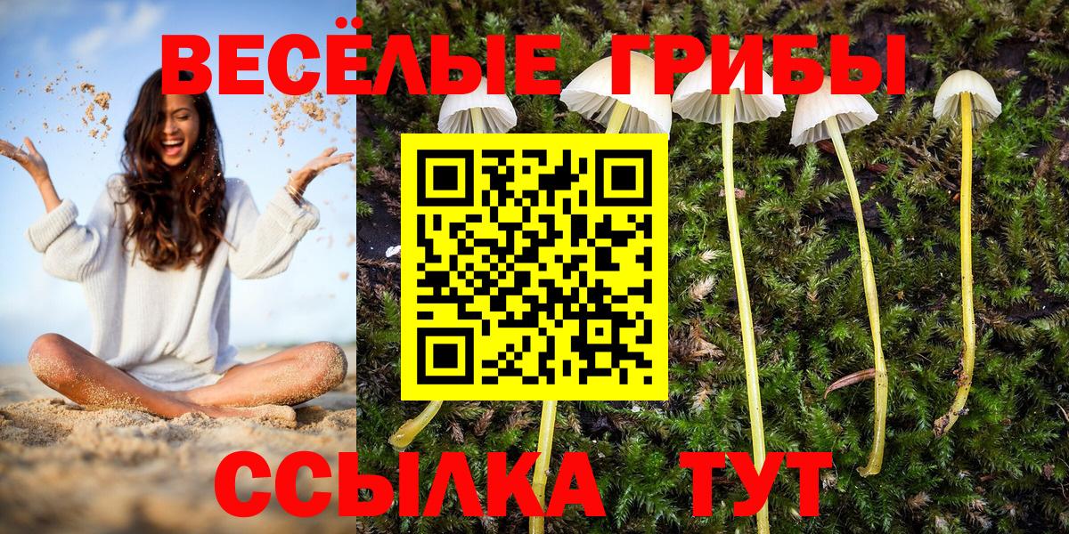 Псилоцибиновые грибы MAGIC MUSHROOMS Менделеевск